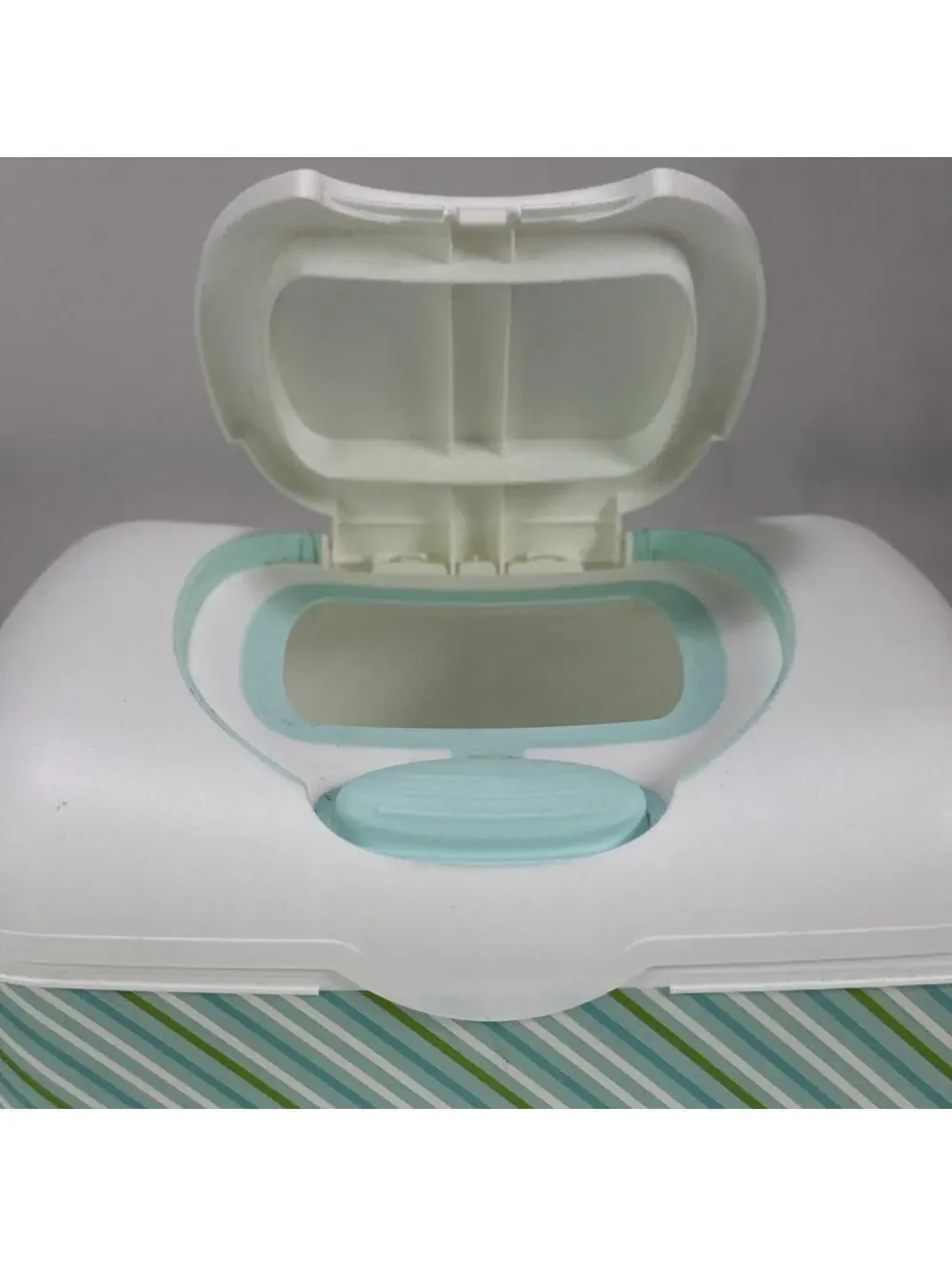 Charmin Plastic Wet Wipes Container Dispenser Holder With blue green Stripes